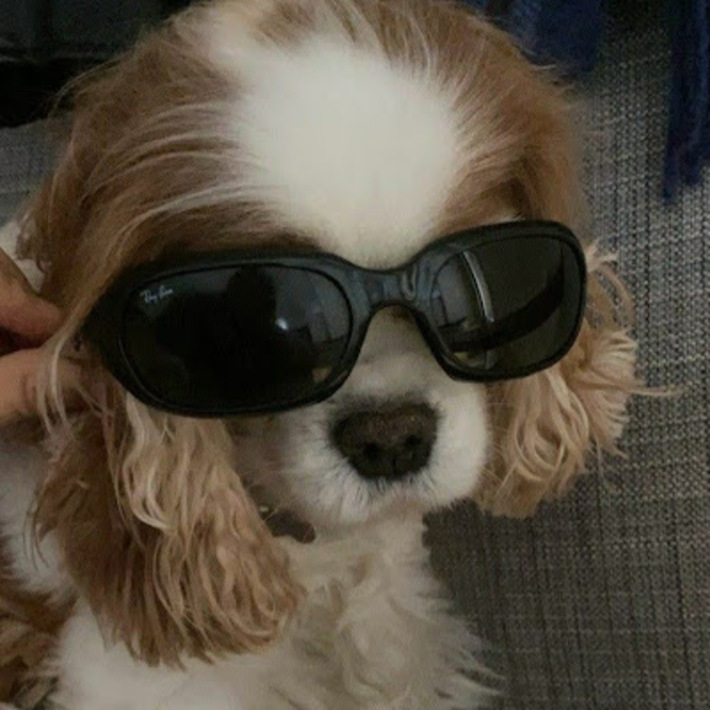 Meet your Posher, Michal